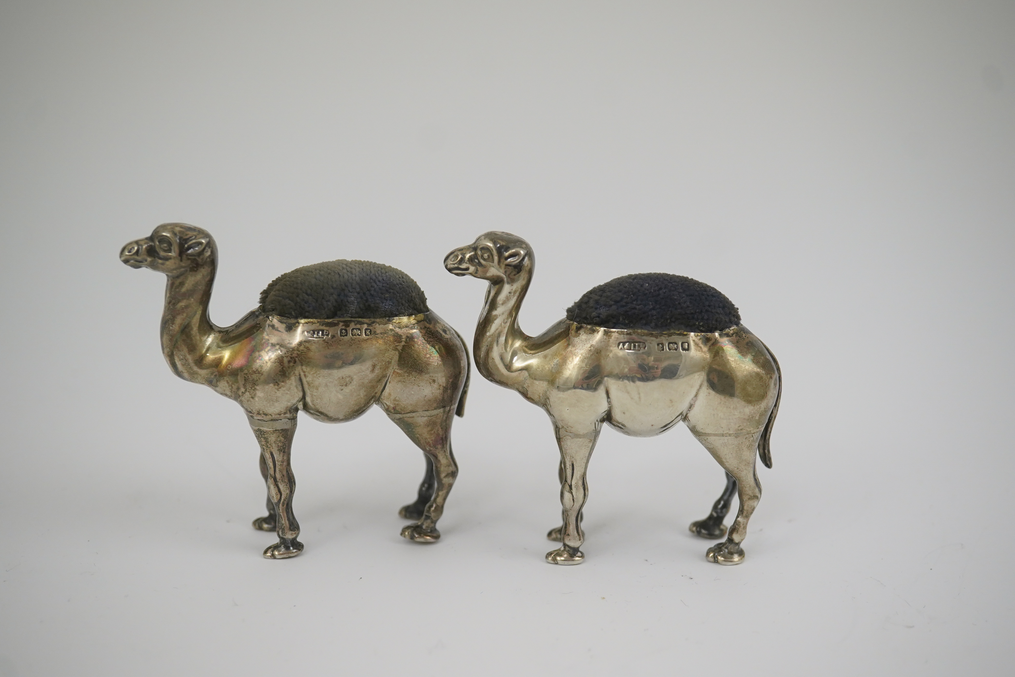 A pair of Edwardian novelty silver pin cushions, each modelled as a camel